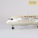 B787 Etihad - Escala 1/130 - 43cm - 16,9 pulgadas