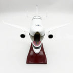 Airbus Beluga Aircraft Model 1:180 - "Flying Whale" with Opening Nose - 30cm/11.8" Resin