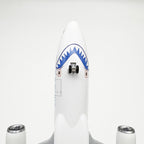 Airbus A320neo Prototype Airplane Model — 1:120 Scale | 30cm / 11.8"