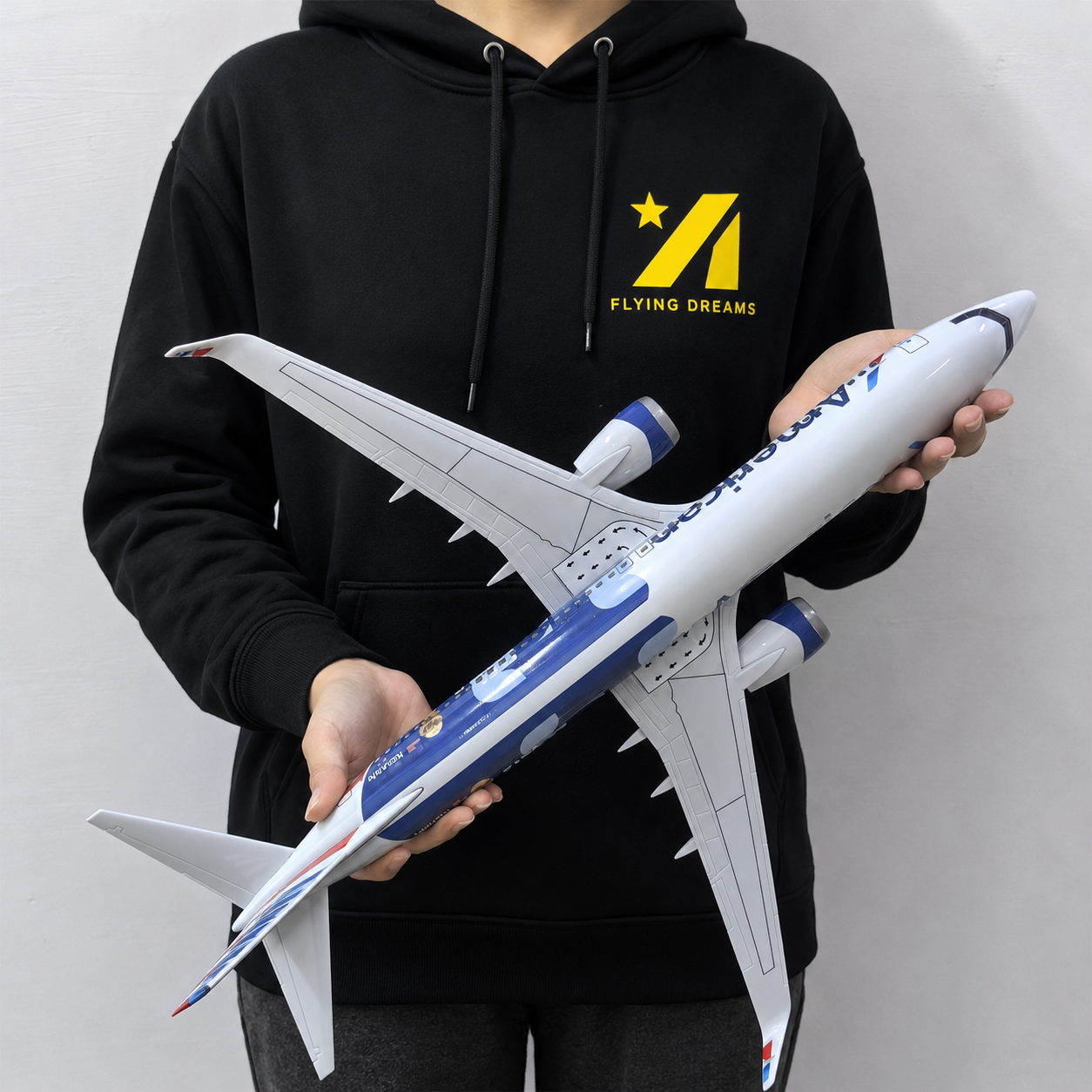 American Airlines Boeing 737-800 "FIFA World Cup 2026" – 47 cm / 18.5 in – Voice-Activated LED Display Model - Gallery 10