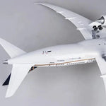 B787-9 United Airlines – Scale 1:130 (43 cm / 16.9 in) - Thumbnail 13