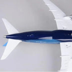 نموذج أولي لطائرة دريملاينر B787 - مقياس 1/130 - 43 سم - 16.9 بوصة