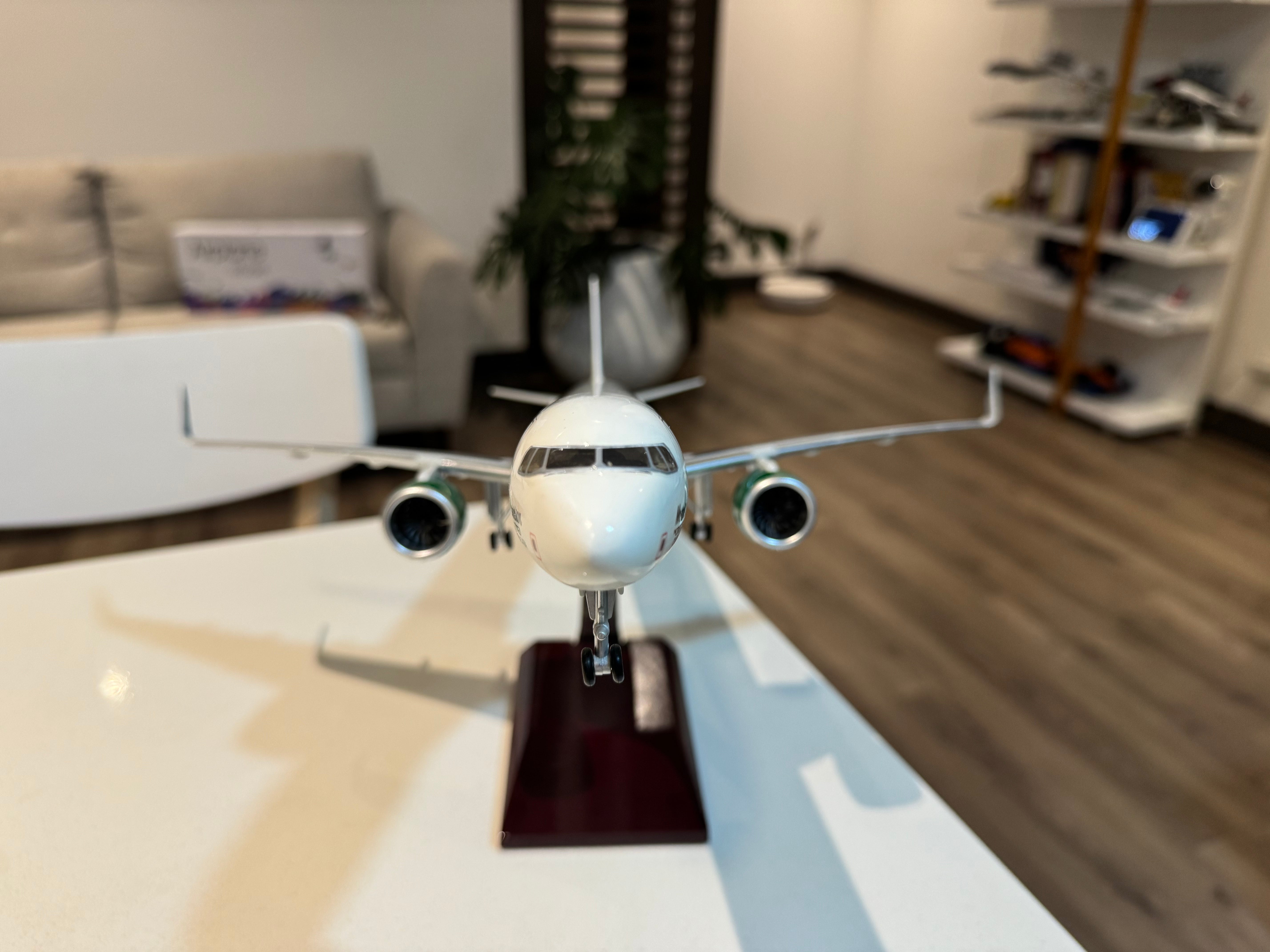 Frontier Airlines A321neo "Morrison" 1:100 – 44 cm / 17.3 in – Limited Pre-Sale Edition - Gallery 6