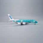 A380 خطوط أول نيبون الجوية (ANA) يابان سلحفاة خضراء - مقياس 1/160 - 47 سم - 18.5 بوصة - نموذج طائرة