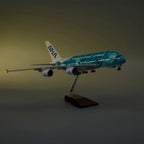 A380 خطوط أول نيبون الجوية (ANA) يابان سلحفاة خضراء - مقياس 1/160 - 47 سم - 18.5 بوصة - نموذج طائرة